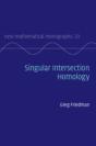 Singular Intersection Homology - Preview