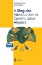Singular Introduction To Commutative Algebra - Preview