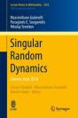 Singular Random Dynamics - Preview