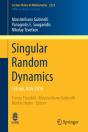 Singular Random Dynamics - Preview