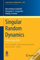 Singular Random Dynamics