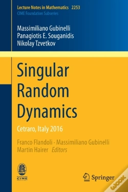 Capa do artigo Singular Random Dynamics