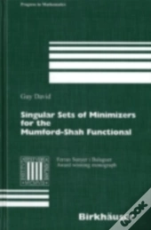 Singular Sets Of Minimizers For The Mumford-Shah Functional