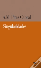 Capa do artigo Singularidades