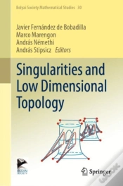Capa do artigo Singularities And Low Dimensional Topology