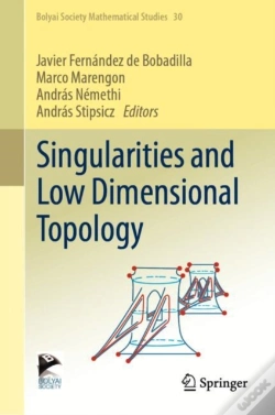 Capa do artigo Singularities And Low Dimensional Topology