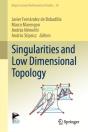 Singularities And Low Dimensional Topology - Preview