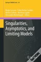 Singularities, Asymptotics, And Limiting Models
