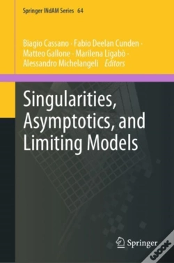 Capa do artigo Singularities, Asymptotics, And Limiting Models