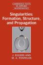 Singularities: Formation, Structure, And Propagation - Preview