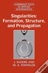 Singularities: Formation, Structure, And Propagation
