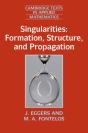 Singularities: Formation, Structure, And Propagation - Preview