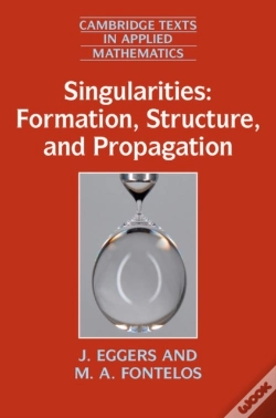 Capa do artigo Singularities: Formation, Structure, And Propagation