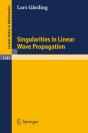 Singularities In Linear Wave Propagation - Preview