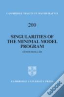 Singularities Of The Minimal Model Program