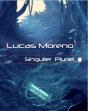Singulier Pluriel - Preview