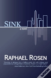 Sink: A Novel