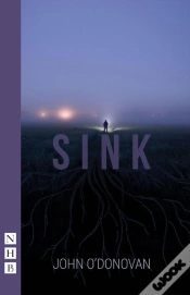 Capa do artigo Sink