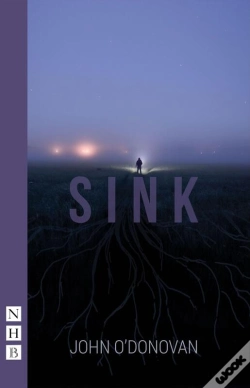 Capa do artigo Sink