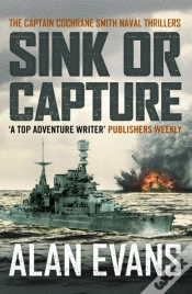 Capa do artigo Sink Or Capture