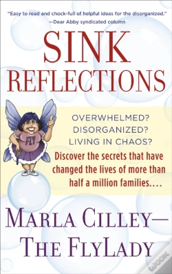 Capa do artigo Sink Reflections