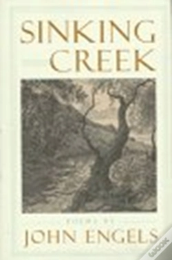 Capa do artigo Sinking Creek