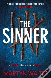 Capa do artigo Sinner