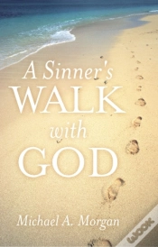 Capa do artigo Sinner