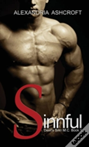 Capa do artigo Sinnful