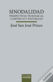Capa do artigo Sinodalidad