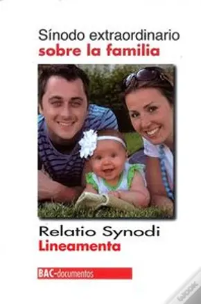 Sinodo Extraordinario Sobre La Familia. Relatio Synodi. Lineamenta 