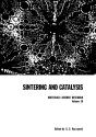 Sintering And Catalysis - Preview