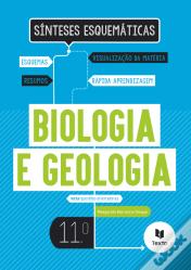 Sínteses Esquemáticas - Biologia e Geologia 11º Ano  