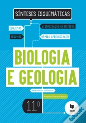 Capa do artigo Sínteses Esquemáticas - Biologia e Geologia 11º Ano  