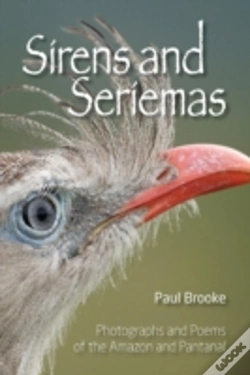 Capa do artigo Sirens And Seriemas