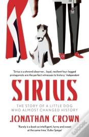 Capa do artigo Sirius