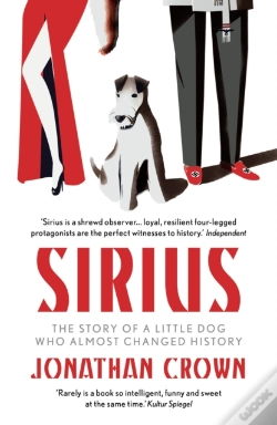Capa do artigo Sirius