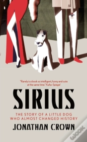 Capa do artigo Sirius