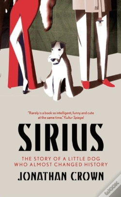 Capa do artigo Sirius