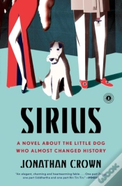 Capa do artigo Sirius