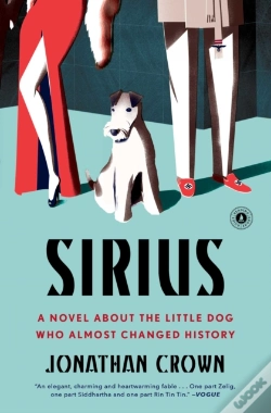 Capa do artigo Sirius
