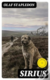 Capa do artigo Sirius