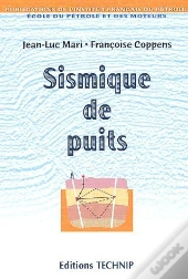 Sismique De Puits