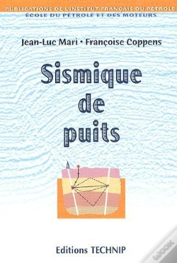 Capa do artigo Sismique De Puits