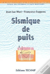 Capa do artigo Sismique De Puits