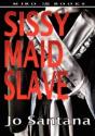 Sissy Maid Slave - Preview
