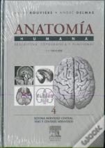Sistema Nervioso Central