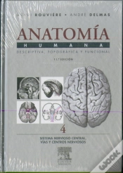 Capa do artigo Sistema Nervioso Central