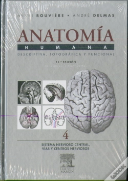Capa do artigo Sistema Nervioso Central