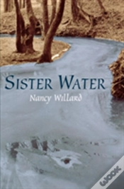 Capa do artigo Sister Water